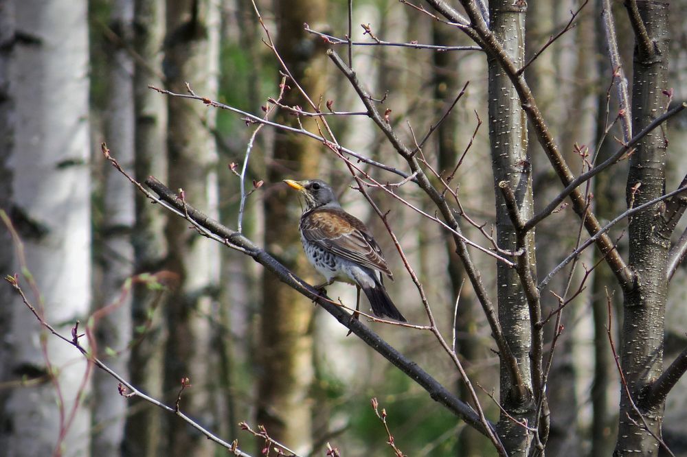 Photograph by Наташа Фишер