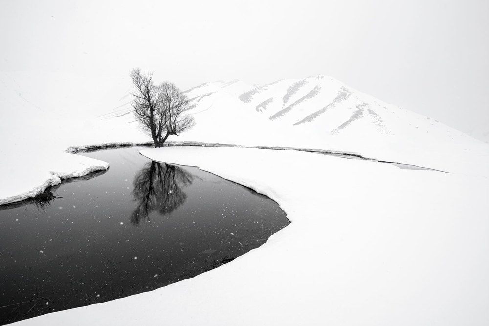 Photograph by Tayeb Ahmadi