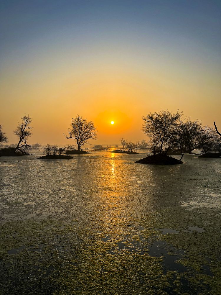 Photograph by Jayavignesh Hariharan