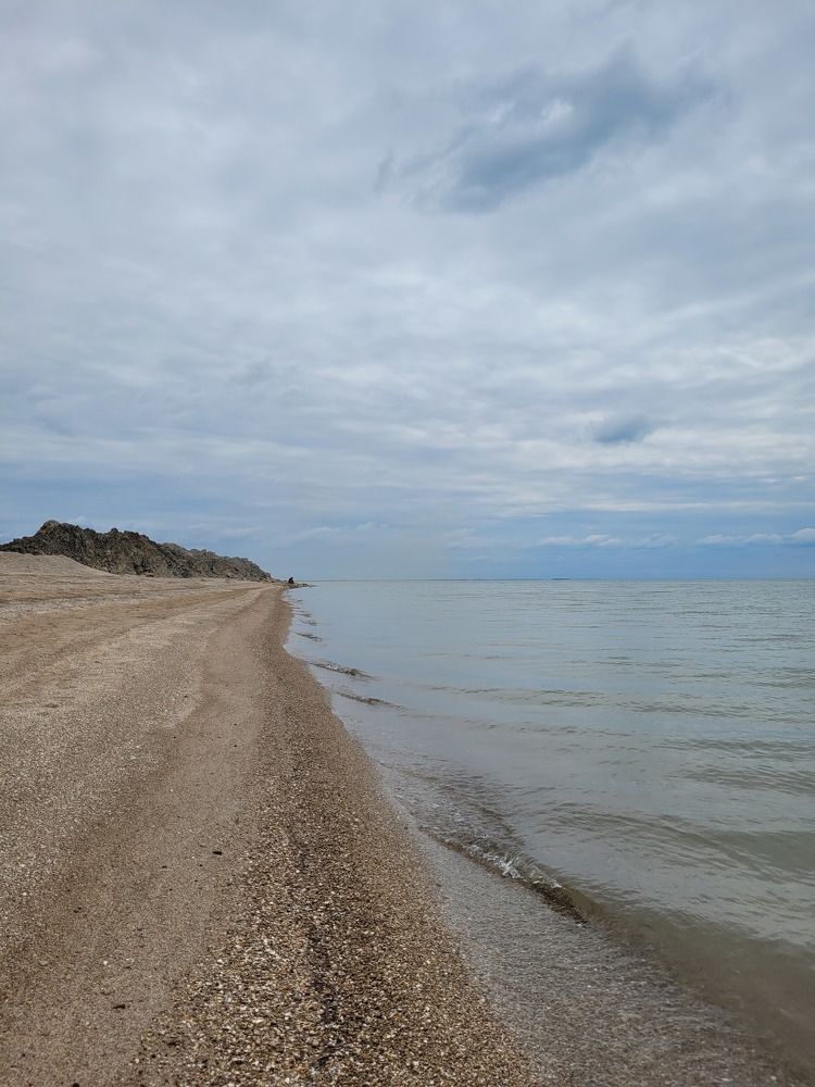 Фотография автора Ольга Осипова