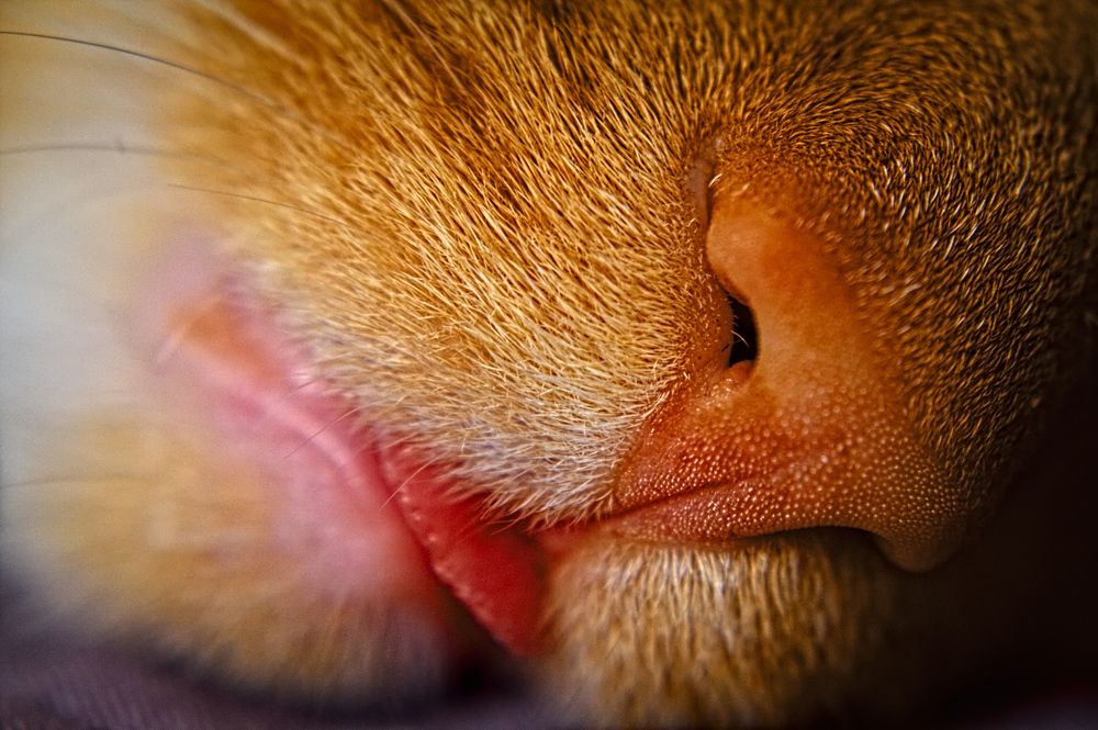 Photograph by Евгений Козлов