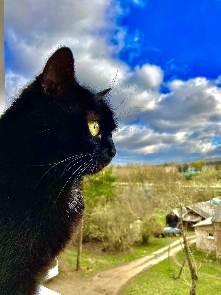 Photograph by Марина Иванова