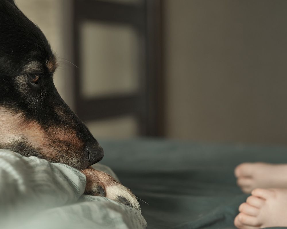 Photograph by Дарья Мицкевич