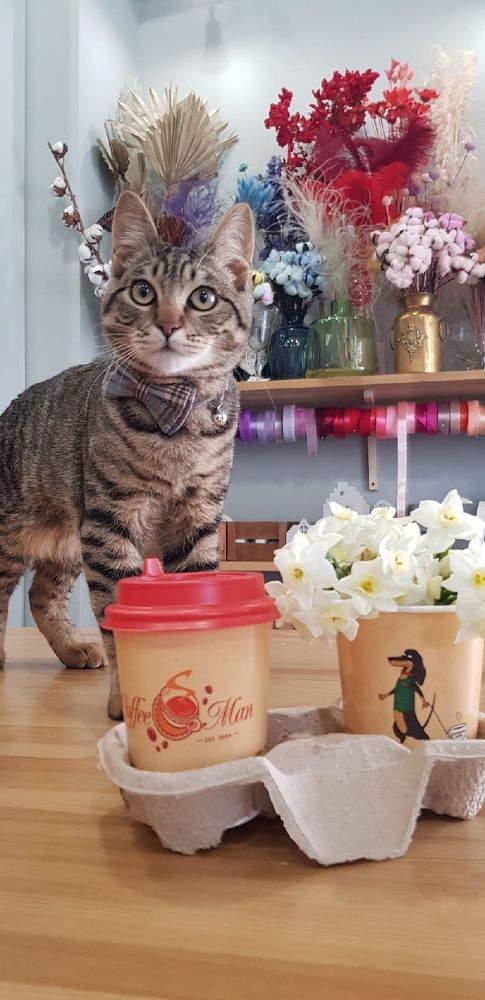 Фотография автора Ольга Мусина