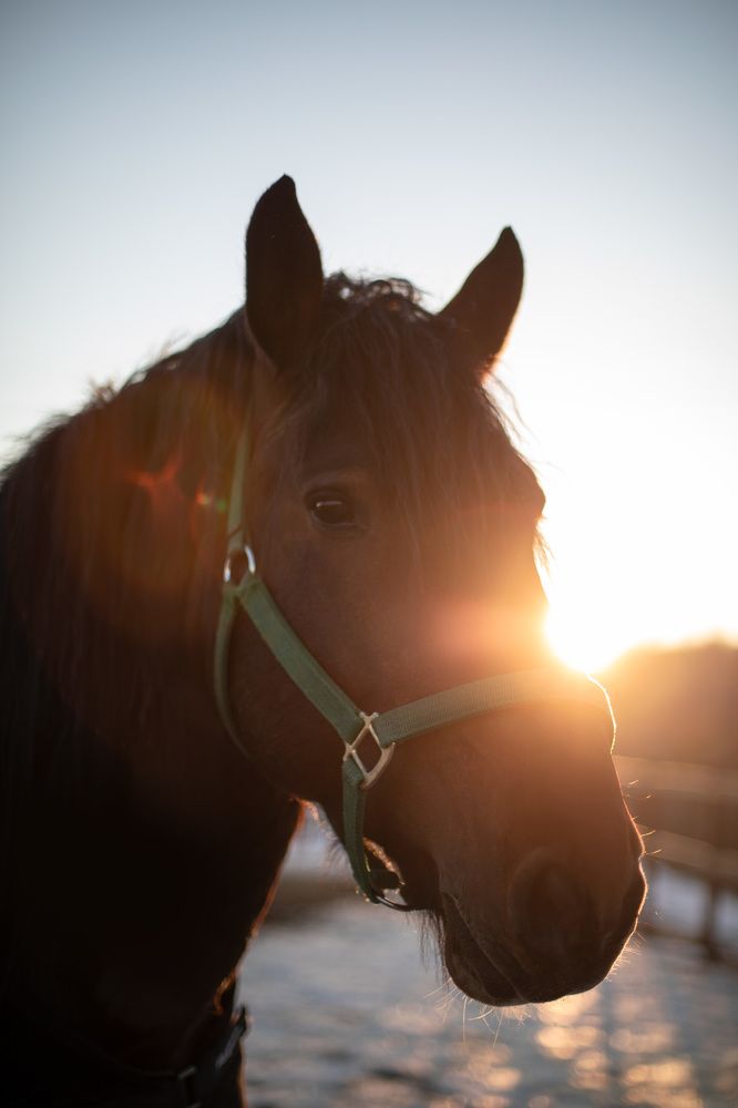 Photograph by EKATERINA ANDREEVA