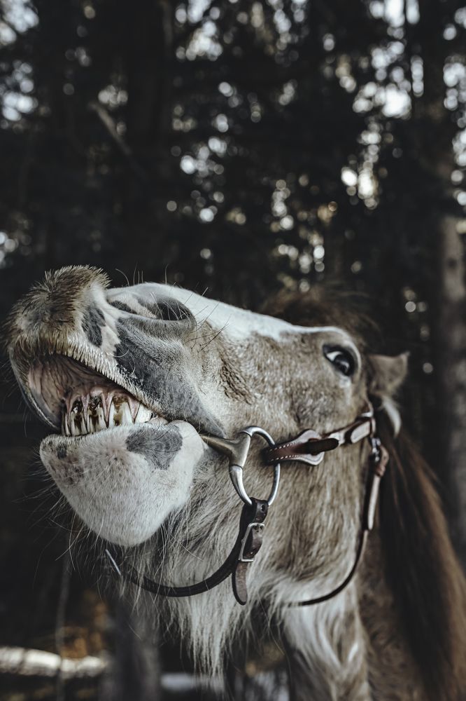 Photograph by Dani Wieczorek