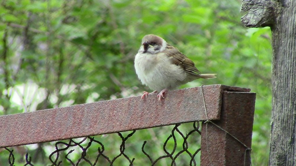 Photograph by Ирина Степановна Азаренкова
