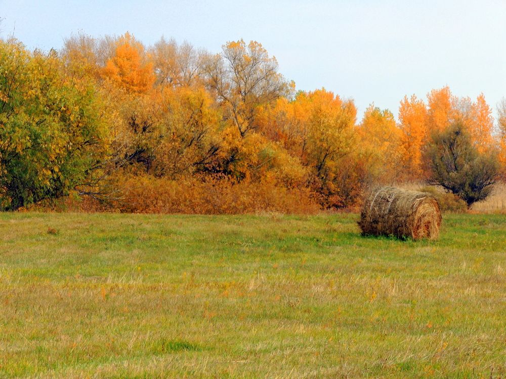 Photograph by Дмитрий Щербаков