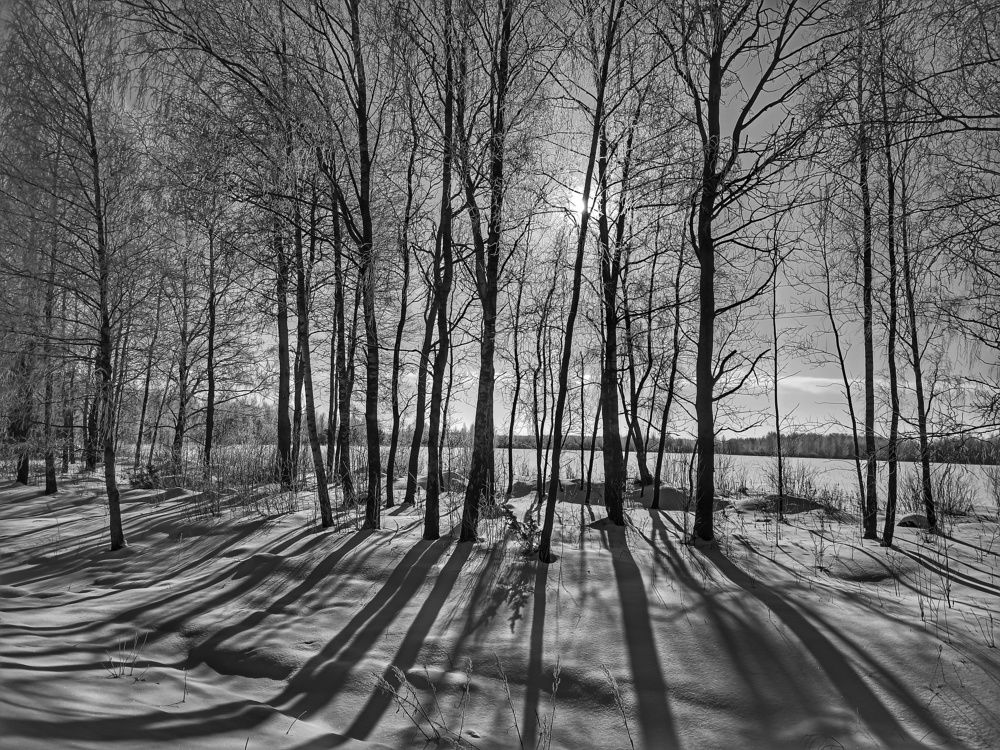 Photograph by Светлана Беспалко