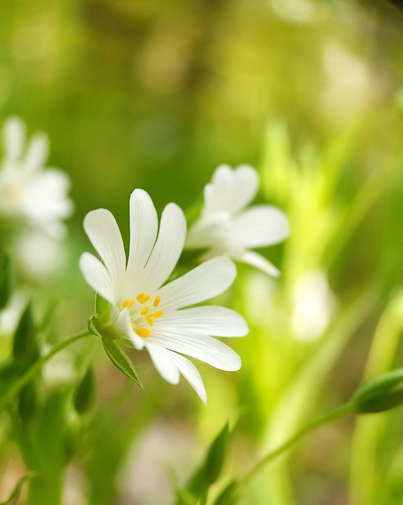 Photograph by Татьяна Чухина