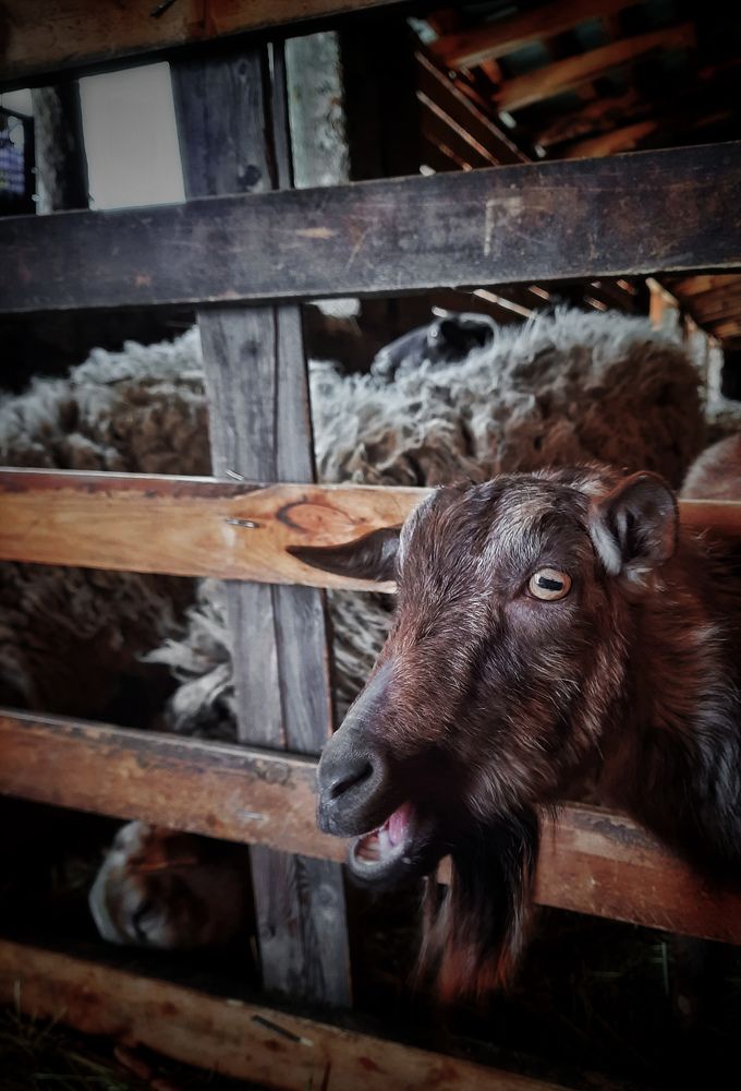 Photograph by Наталья