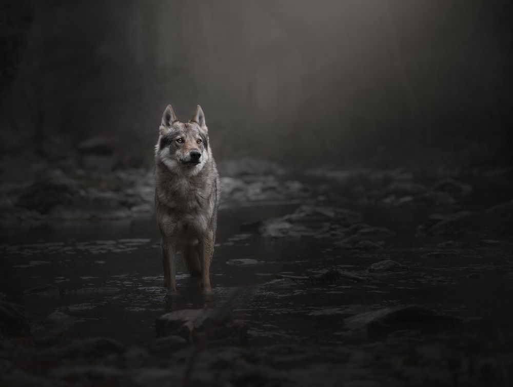 Photograph by Federica Repossi