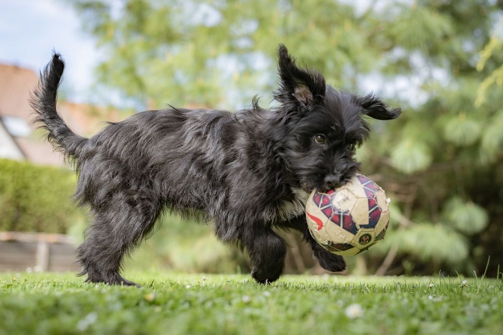 Photograph by bostjan imperl