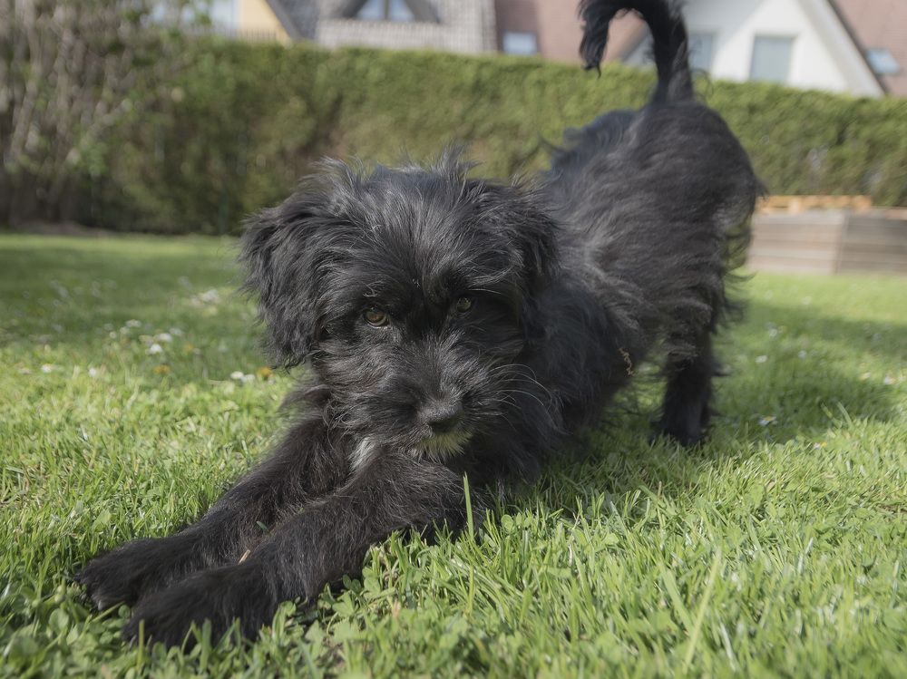 Photograph by bostjan imperl