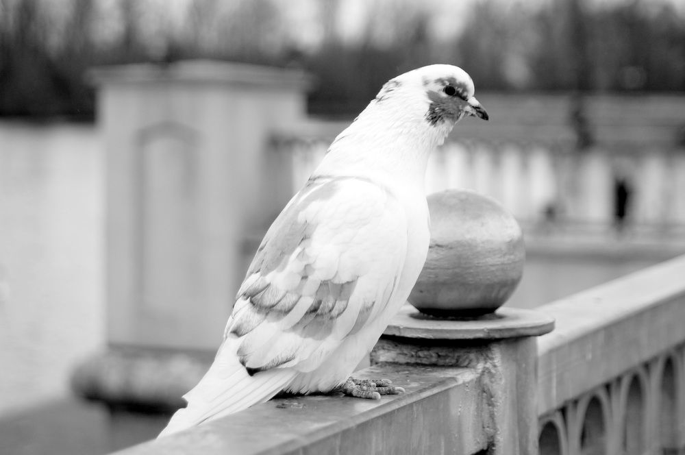 Фотография автора Юля Хатыпова