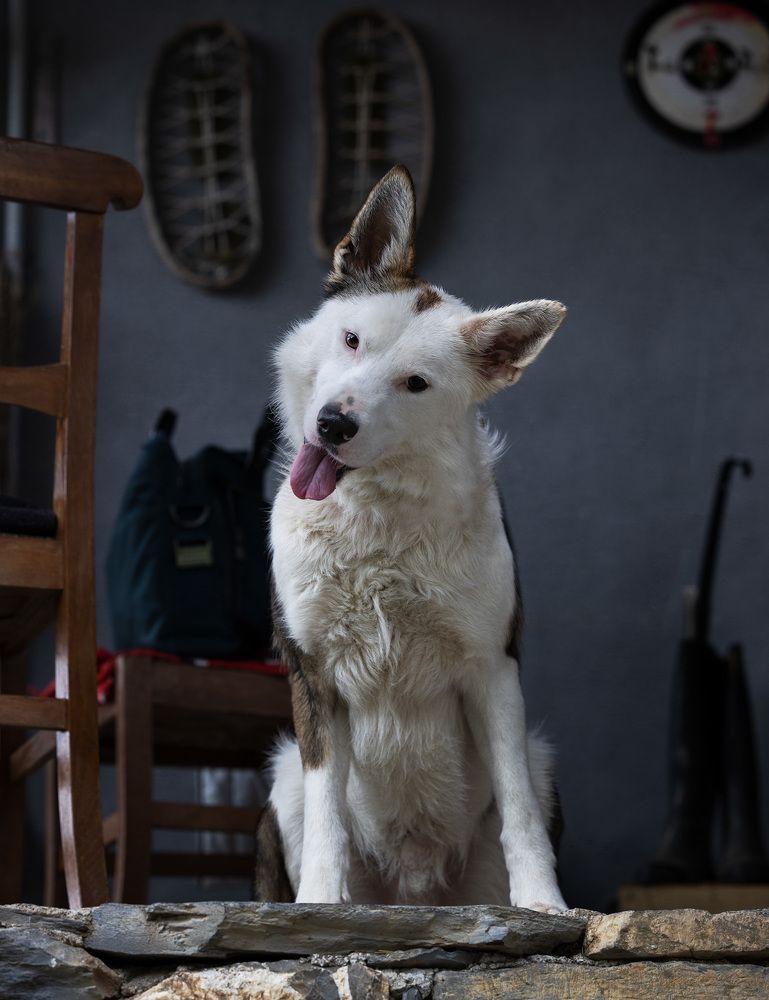 Photograph by Federica Repossi