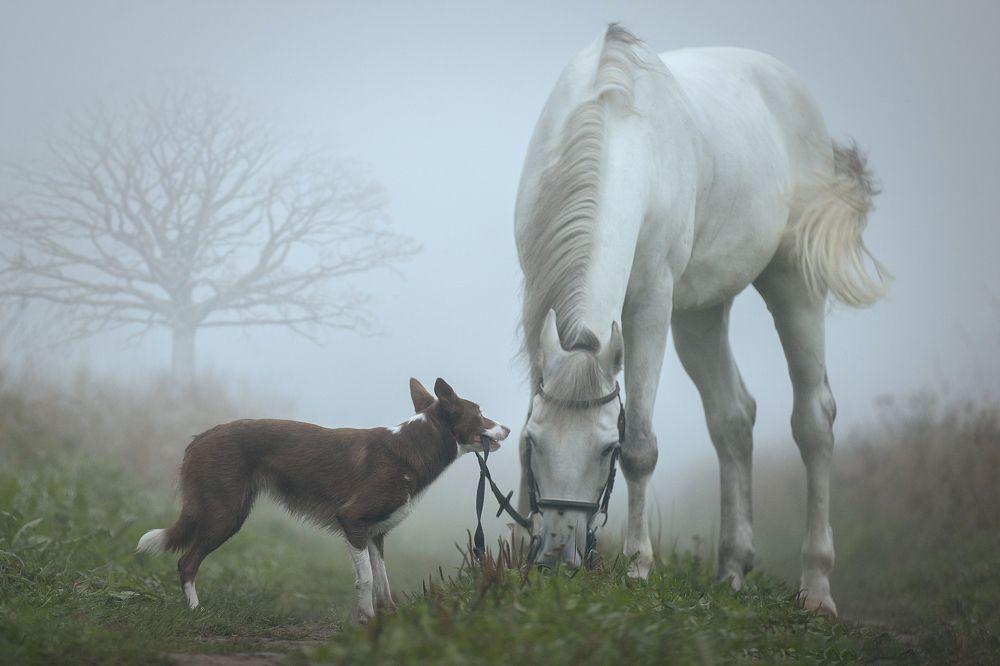 Photograph by Светлана Писарева