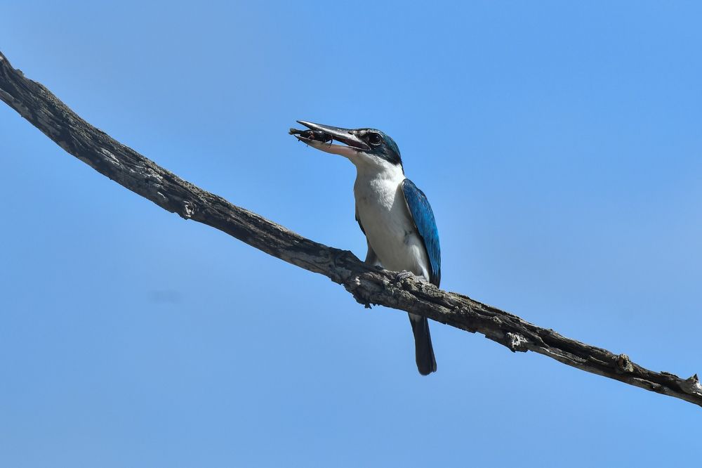 Photograph by Mohd Khairul Fikiri Osman