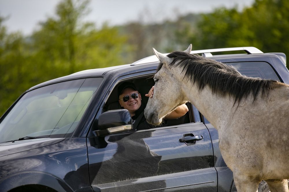 Photograph by Регина Хохлова