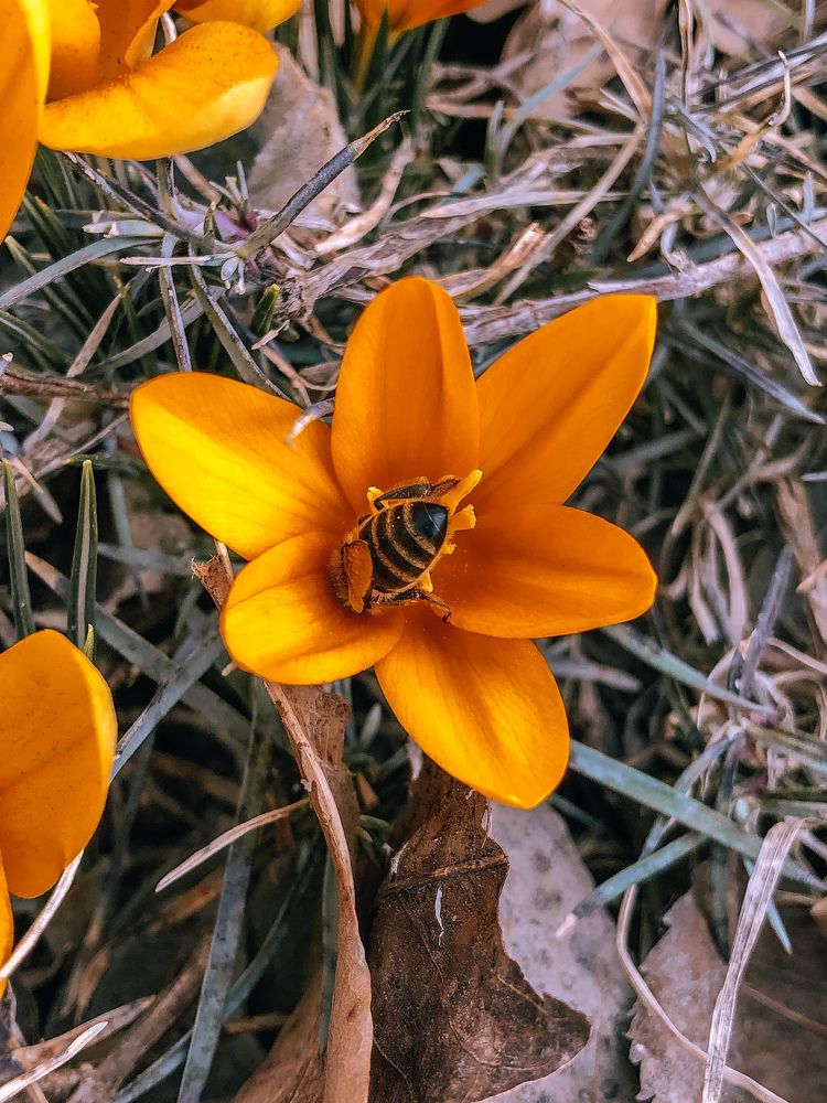 Photograph by Елена Твардовськая