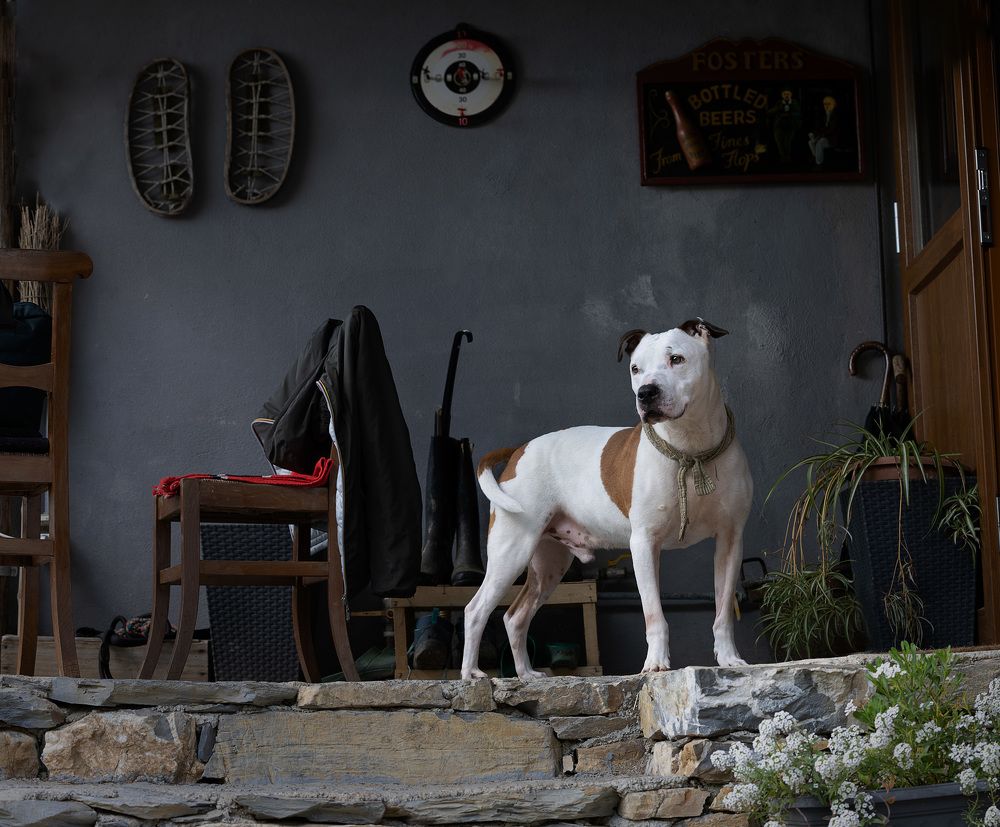 Photograph by Federica Repossi