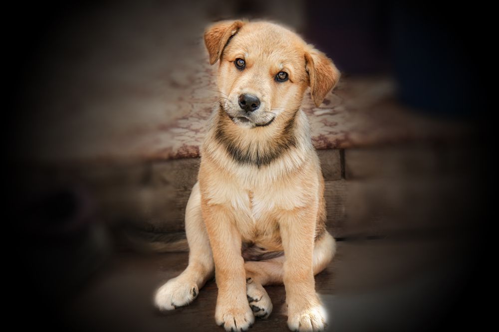 Photograph by Татьяна Семенова