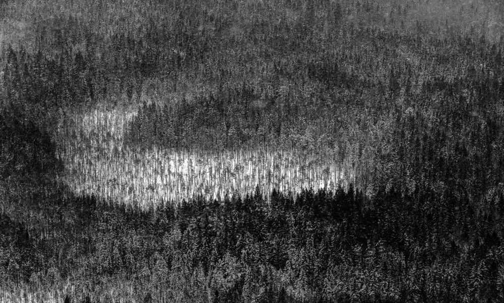 Photograph by Назаров Александр