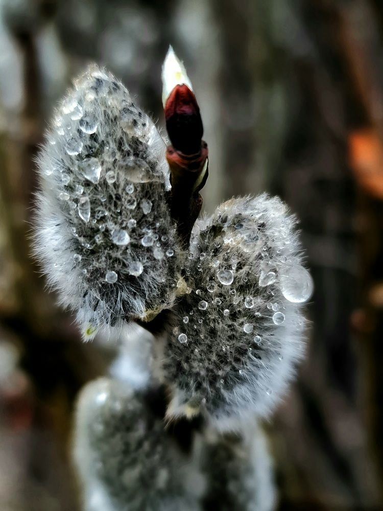 Photograph by Екатерина