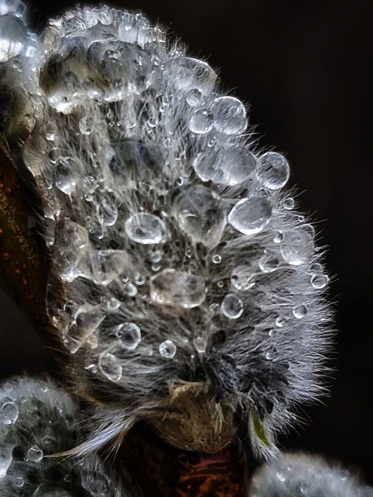 Photograph by Екатерина