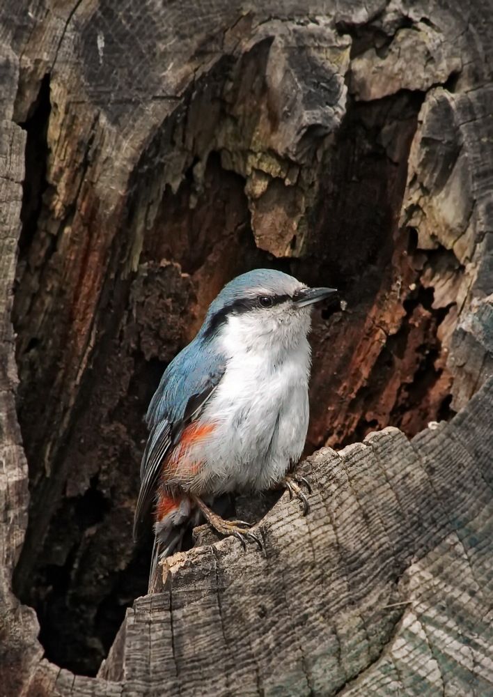 Photograph by Станислав Староверов