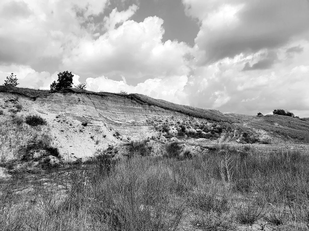 Фотография автора Надежда Лисицына