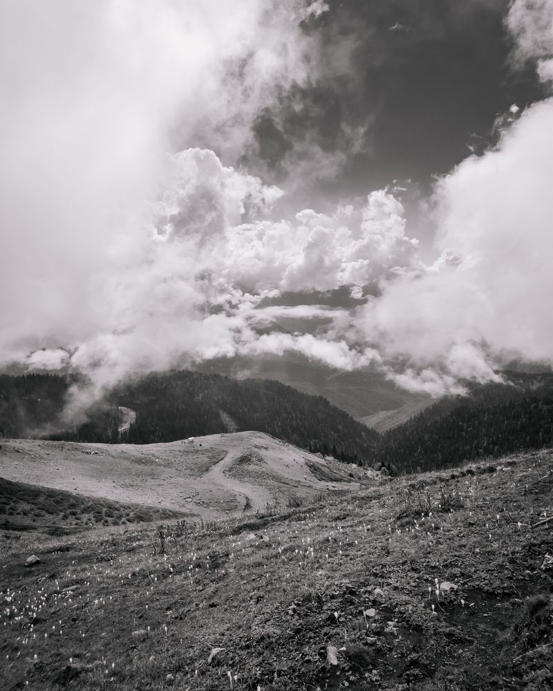 Photograph by Mikhail