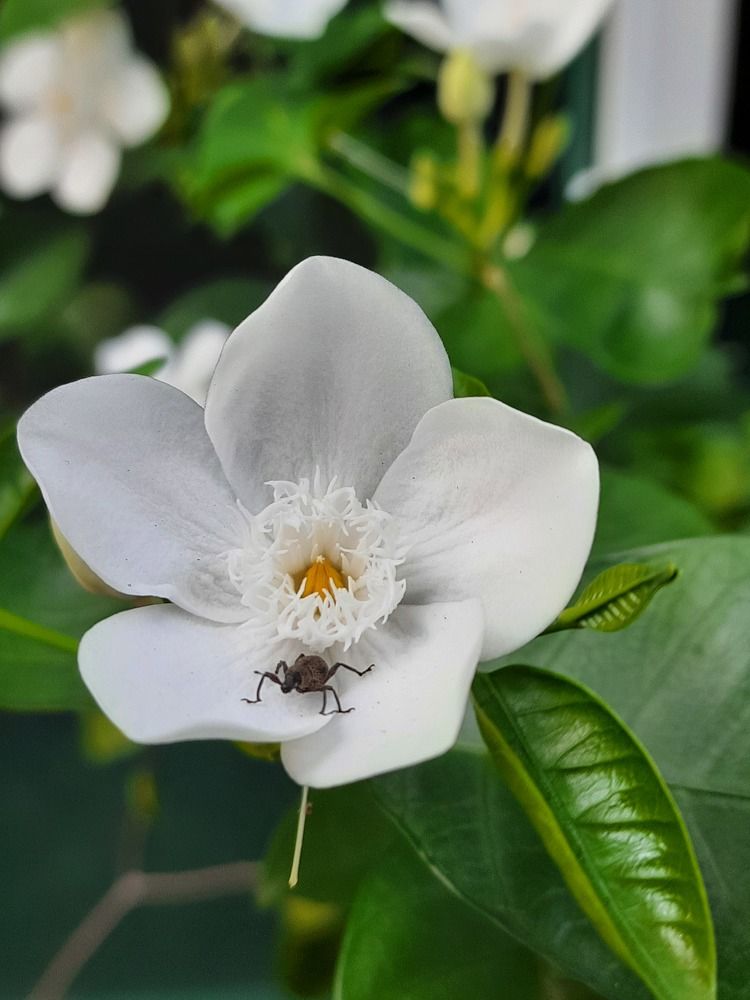 Photograph by Ольга Закаблуковская