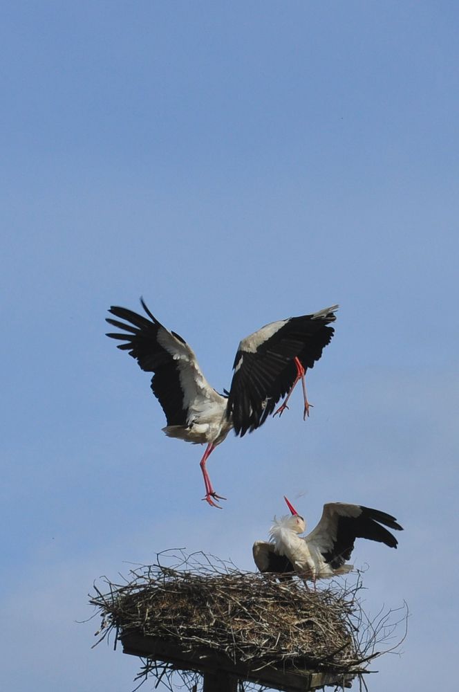 Photograph by Евгений