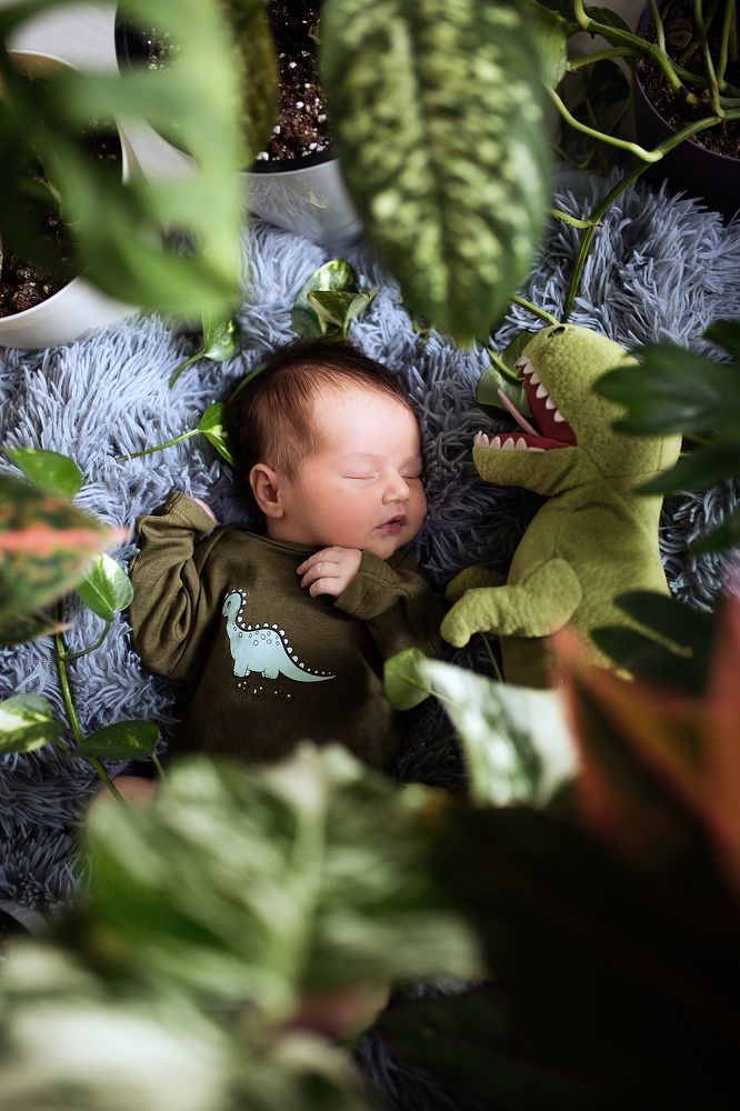 Photograph by Анна Стародубцева