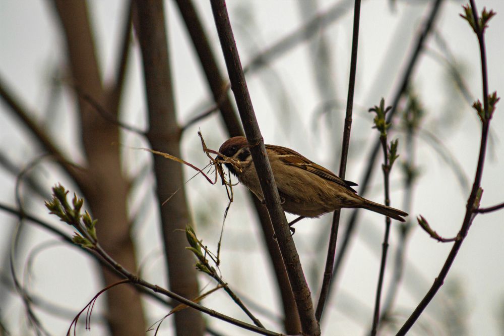 Photograph by Никита Викторович