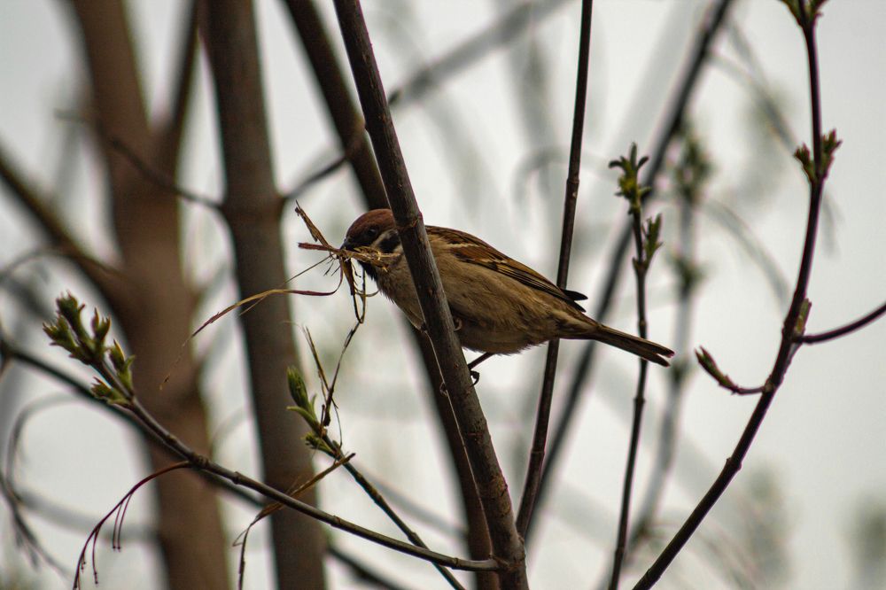 Photograph by Никита Викторович