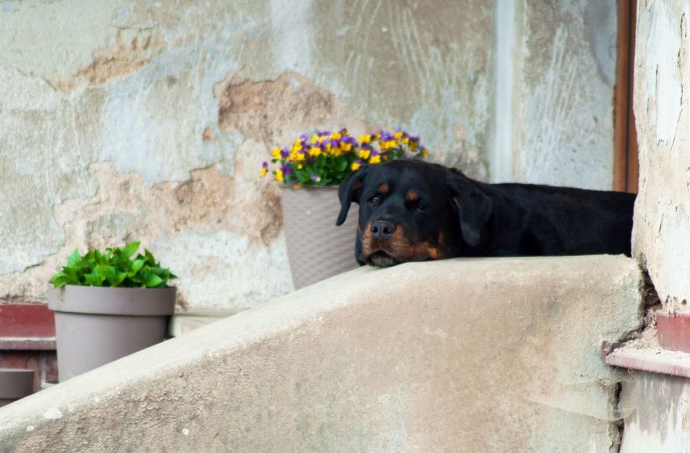 Photograph by Анастасия