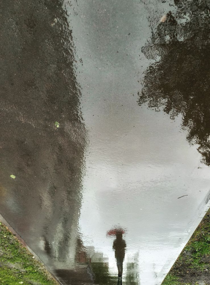 Photograph by Виктория Суркова