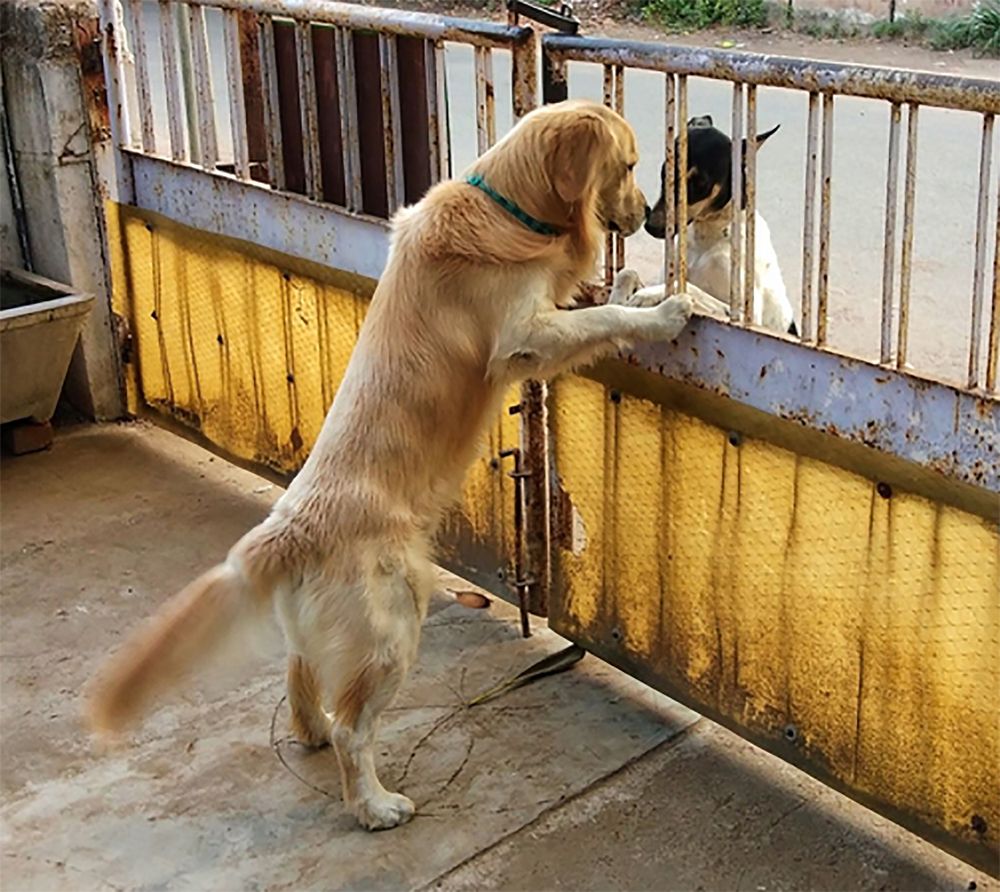 Photograph by Manish (Valmie) Joshi