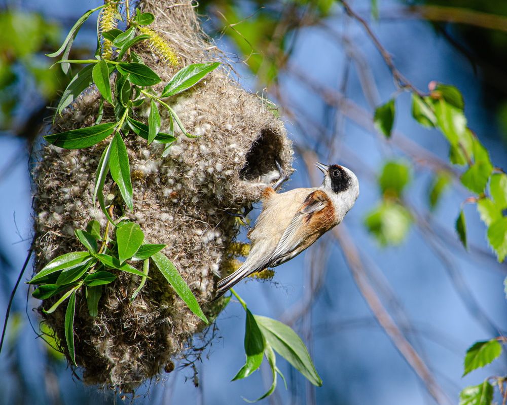 Photograph by Оксана Маховская