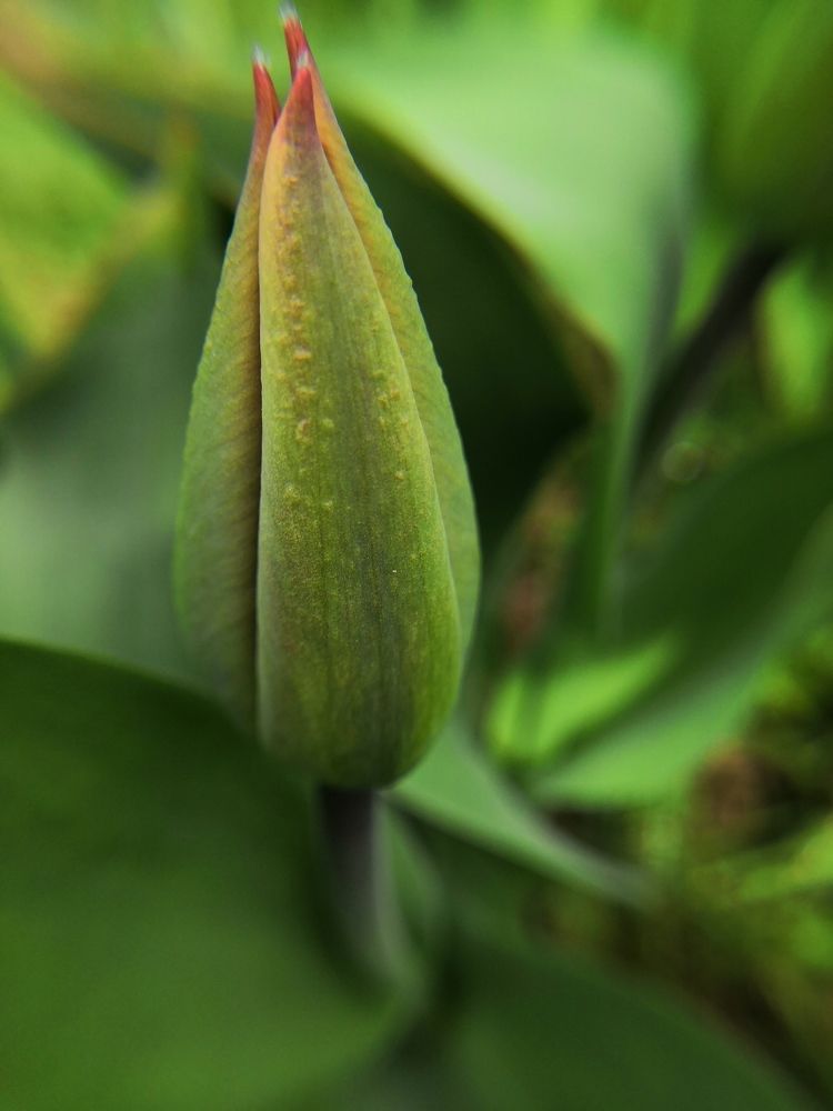 Photograph by Ольга