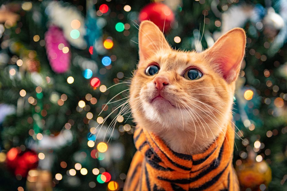 Волшебство