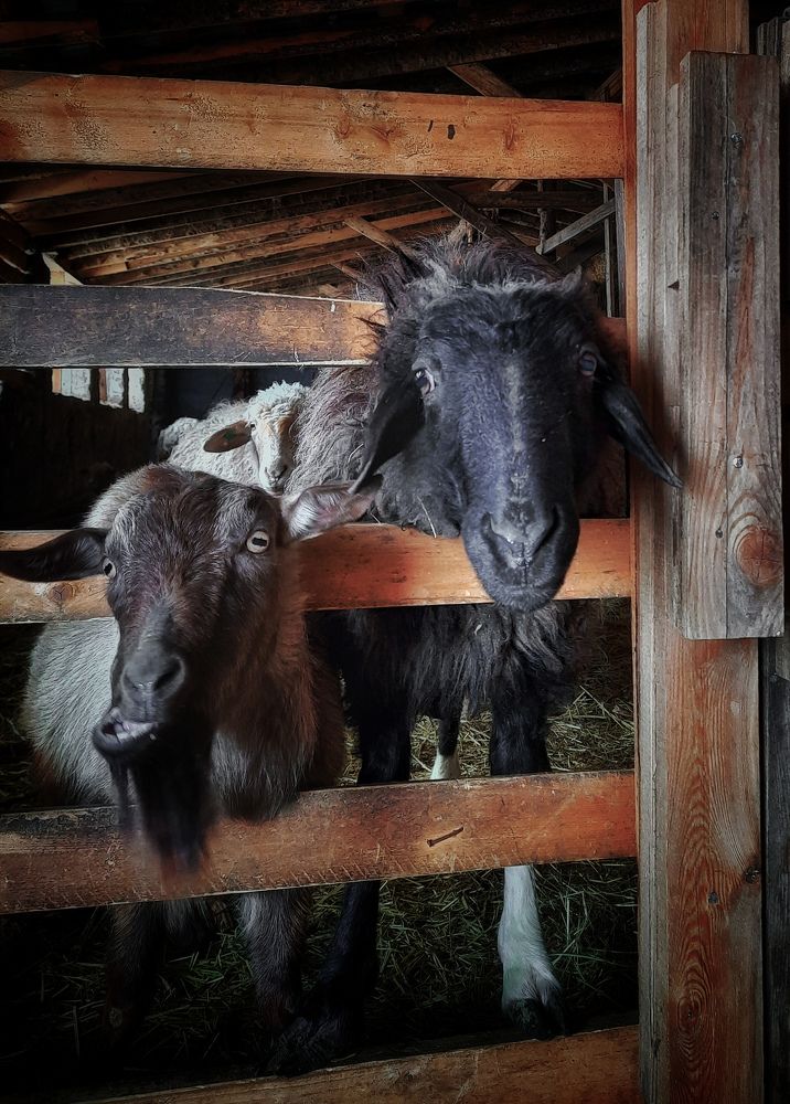 Photograph by Наталья