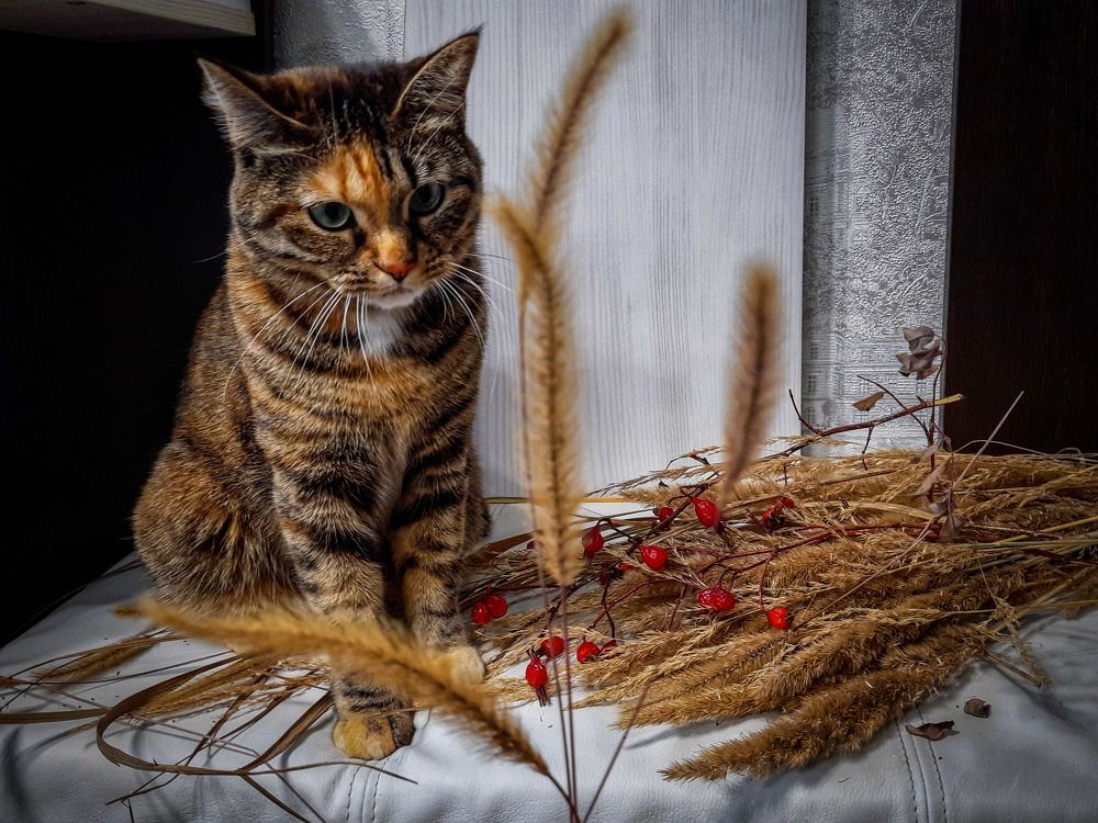 Photograph by Наталья