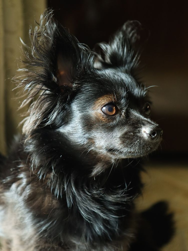 Photograph by Екатерина Слепнева