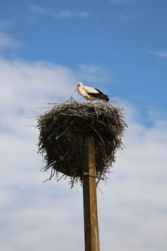 Photograph by Oksana Shchegolkova