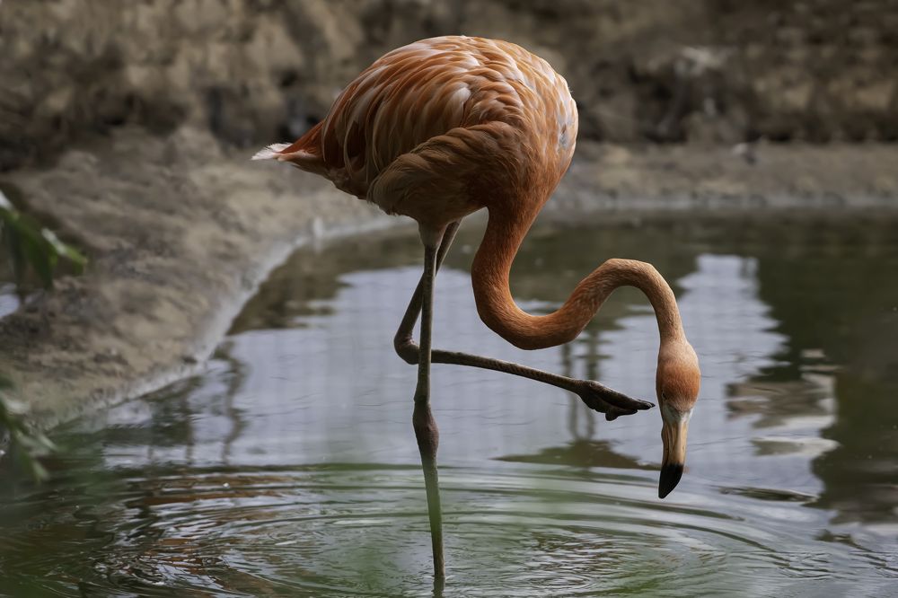 Photograph by Ирина Ульянова