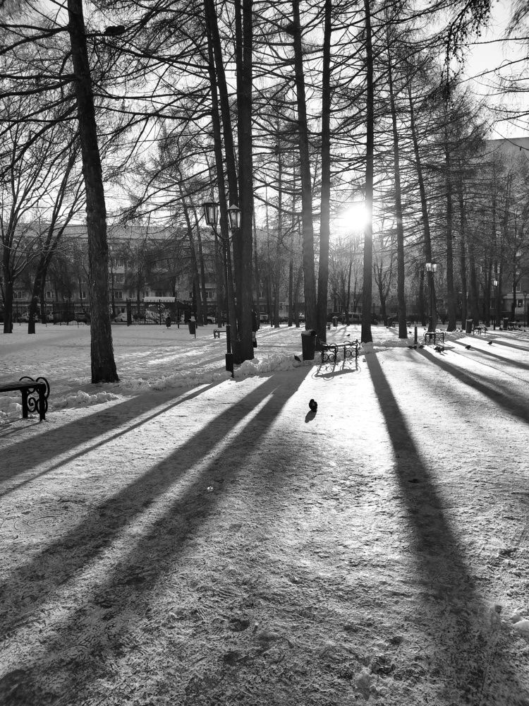 Photo #7564526