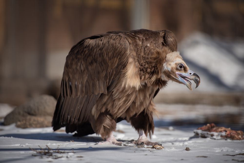 Photograph by Kovaleva Irina